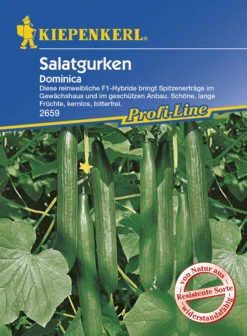Salatgurke Dominica F1 | Salatgurkensamen Von Kiepenkerl