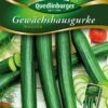 Gewächshausgurke Marumba F1 | Gurkensamen Von Quedlinburger 2 Gewächshausgurke Marumba F1 | Gurkensamen Von Quedlinburger -Compo || Elho || Pegasus Verkäufe 531949 Gewaechshausgurken Marumba von Quedlinburge
