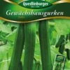 Gewächshausgurke Bella | Gurkensamen Von Quedlinburger 2 Gewächshausgurke Bella | Gurkensamen Von Quedlinburger -Compo || Elho || Pegasus Verkäufe 531950 Gewaechshausgurken Bella von Quedlinburger