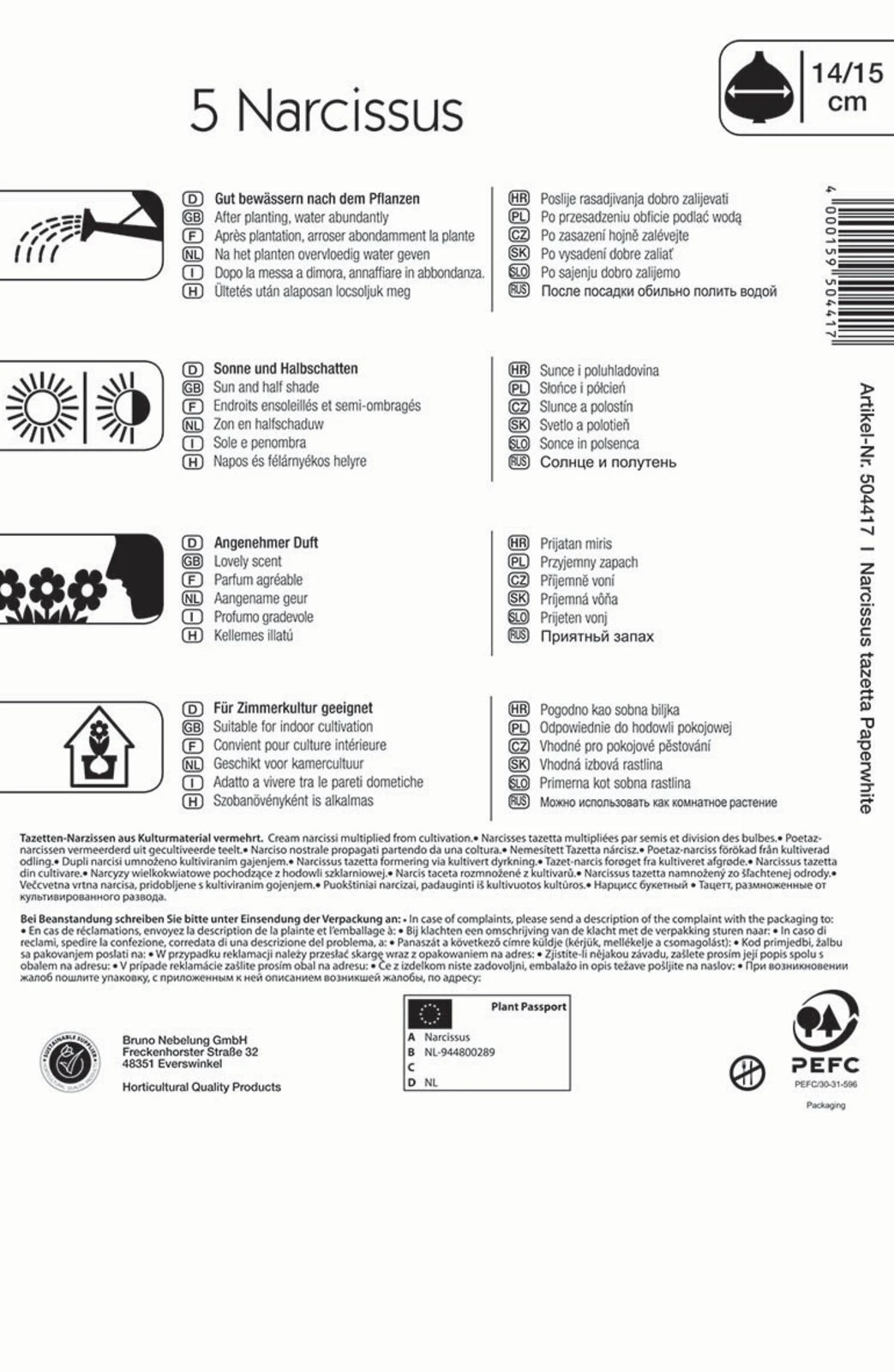 Narzisse Paperwhite (5 Stück) | Narzissenzwiebeln Von Kiepenkerl 3 Narzisse Paperwhite (5 Stück) | Narzissenzwiebeln Von Kiepenkerl