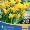Mega-Pack Narzisse Jetfire (21 Stück) | Narzissenzwiebeln Von Kiepenkerl -Compo || Elho || Pegasus Verkäufe 533576 Mega Pack Narzisse Jetfire 21 Stueck 505872 0