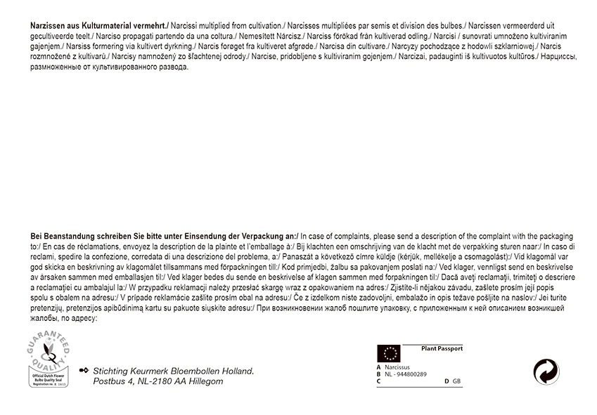 Trompetennarzisse Mischung (35 Stück) | Narzissenzwiebeln Von Pegasus 3 Trompetennarzisse Mischung (35 Stück) | Narzissenzwiebeln Von Pegasus