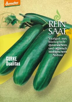 Salatgurke Qualitas | BIO Salatgurkensamen Von Reinsaat