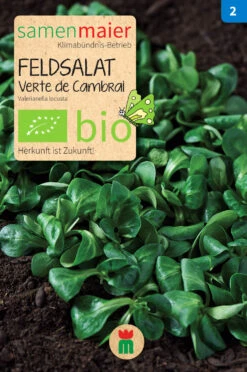 Beet-Box "Für Smoothie-Maker" | BIO Gemüsesamen-Sets Von Samen Maier 12 Beet-Box "Für Smoothie-Maker" | BIO Gemüsesamen-Sets Von Samen Maier -Compo || Elho || Pegasus Verkäufe 536710 BIO Beet Box Fuer Smoothie Maker BB12 sm 1