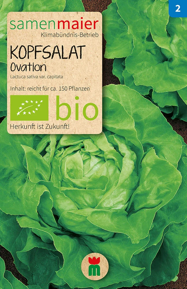 Beet-Box "Für Smoothie-Maker" | BIO Gemüsesamen-Sets Von Samen Maier 5 Beet-Box "Für Smoothie-Maker" | BIO Gemüsesamen-Sets Von Samen Maier – Bild 4