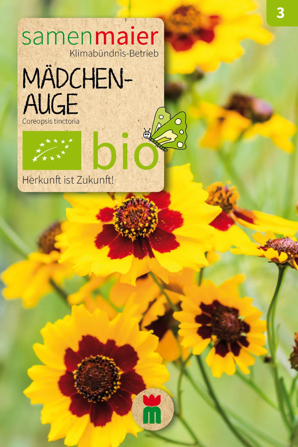 Beet-Box "Für Einen Blumengruß" | BIO Blumensamen-Sets Von Samen Maier 6 Beet-Box "Für Einen Blumengruß" | BIO Blumensamen-Sets Von Samen Maier – Bild 4
