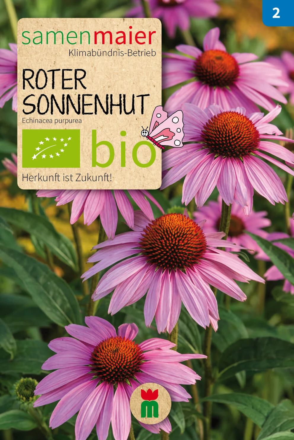 Beet-Box "Für Einen Blumengruß" | BIO Blumensamen-Sets Von Samen Maier 7 Beet-Box "Für Einen Blumengruß" | BIO Blumensamen-Sets Von Samen Maier – Bild 5