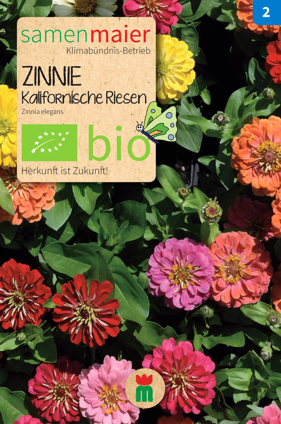 Beet-Box "Für Einen Blumengruß" | BIO Blumensamen-Sets Von Samen Maier 4 Beet-Box "Für Einen Blumengruß" | BIO Blumensamen-Sets Von Samen Maier – Bild 2