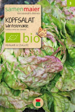 Beet-Box &quot;Für Die Herbsternte&quot; | BIO Gemüsesamen-Sets Von Samen Maier -Compo || Elho || Pegasus Verkäufe 536718 BIO Beet Box Fuer die Herbsternte BB22 sm 3