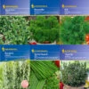 Kräuter - Saat - Sortiment Mit 9 Sorten | Kräutersamen-Sets Von Kiepenkerl 2 Kräuter - Saat - Sortiment Mit 9 Sorten | Kräutersamen-Sets Von Kiepenkerl -Compo || Elho || Pegasus Verkäufe 536765 Saat Sortiment Kraeuter 9 Sorten von Kiep 1