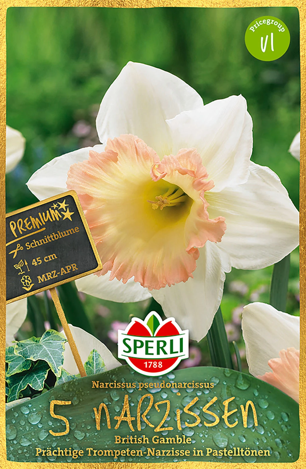 Narzisse British Gamble (5 Stück) | Narzissenzwiebeln Von Sperli 4 Narzisse British Gamble (5 Stück) | Narzissenzwiebeln Von Sperli – Bild 2