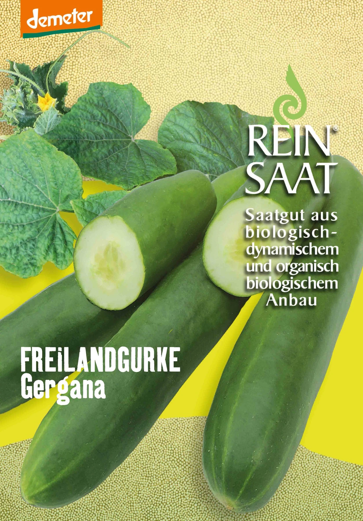 Freilandgurke Gergana | BIO Freilandgurkensamen Von Reinsaat 3 Freilandgurke Gergana | BIO Freilandgurkensamen Von Reinsaat