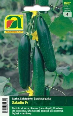 Salatgurke Saladin F1 | Glashausgurkensamen Von Austrosaat 5 Salatgurke Saladin F1 | Glashausgurkensamen Von Austrosaat -Compo || Elho || Pegasus Verkäufe 543064 Glashausgurke Saladin F1
