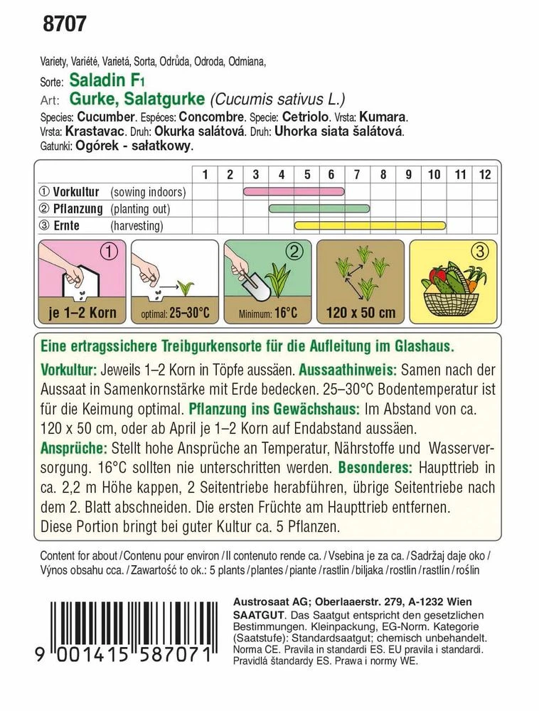 Salatgurke Saladin F1 | Glashausgurkensamen Von Austrosaat 3 Salatgurke Saladin F1 | Glashausgurkensamen Von Austrosaat