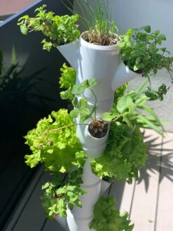 Sissi Strawberry Erdbeerturm Starter Anthrazit (4 Etagen) | Erdbeertürme Von Gusta Garden -Compo || Elho || Pegasus Verkäufe 543338 Sissi Strawberry Erdbeerturm starter anthrazit 4 Etagen 101569 gg 4