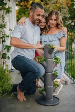 Sissi Strawberry Erdbeerturm Starter Anthrazit (4 Etagen) | Erdbeertürme Von Gusta Garden -Compo || Elho || Pegasus Verkäufe 543338 Sissy Strawberry starter anthrazit 4 Etagen 2