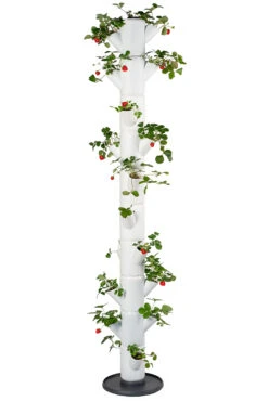 Sissi Strawberry Erdbeerturm Infinity Weiß (10 Etagen) | Erdbeertürme Von Gusta Garden 11 Sissi Strawberry Erdbeerturm Infinity Weiß (10 Etagen) | Erdbeertürme Von Gusta Garden -Compo || Elho || Pegasus Verkäufe 543343 Sissy Strawberry infinity weiss 10 Etagen