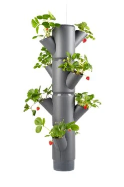 Sissi Strawberry Erdbeerturm Hanging Anthrazit (4 Etagen) | Erdbeertürme Von Gusta Garden 11 Sissi Strawberry Erdbeerturm Hanging Anthrazit (4 Etagen) | Erdbeertürme Von Gusta Garden -Compo || Elho || Pegasus Verkäufe 543598 Sissi Strawberry Hanging anthrazit 4 Etagen
