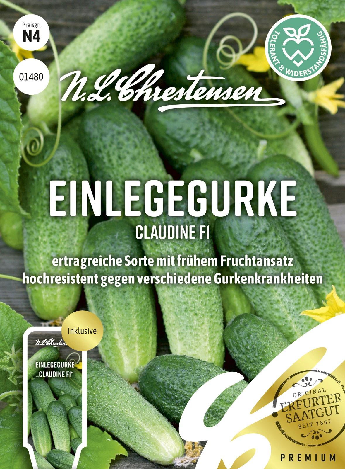 Einlegegurke Claudine F1 | Einlegegurkensamen Von N.L. Chrestensen 3 Einlegegurke Claudine F1 | Einlegegurkensamen Von N.L. Chrestensen