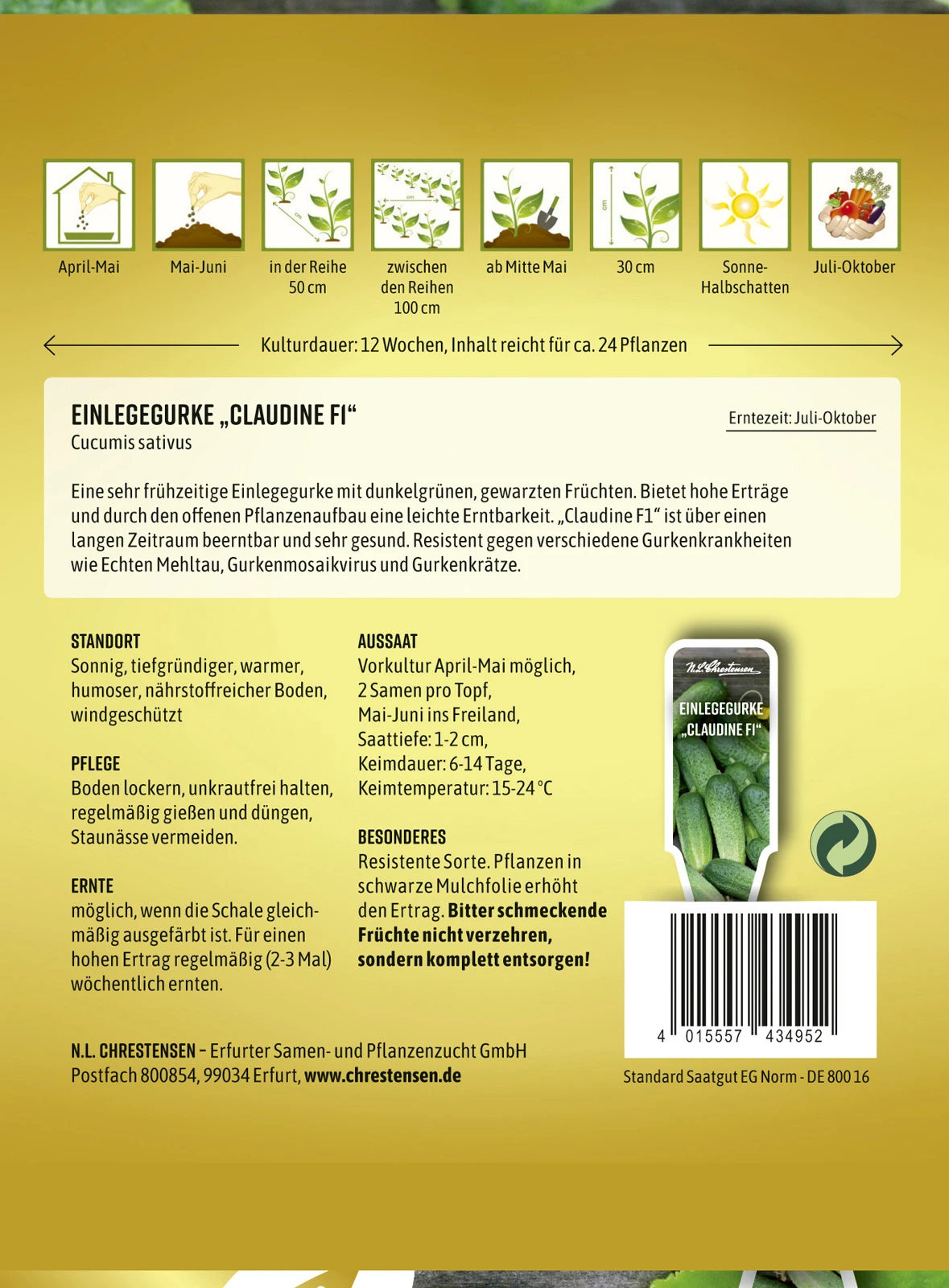 Einlegegurke Claudine F1 | Einlegegurkensamen Von N.L. Chrestensen 4 Einlegegurke Claudine F1 | Einlegegurkensamen Von N.L. Chrestensen – Bild 2
