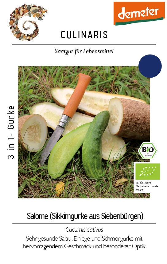 Gurke Sikkimgurke Aus Siebenbürgen | BIO Salatgurkensamen Von Culinaris 3 Gurke Sikkimgurke Aus Siebenbürgen | BIO Salatgurkensamen Von Culinaris