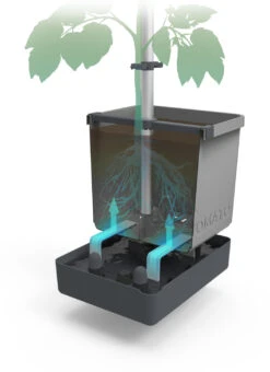 Compo || Elho || Pegasus Verkäufe -Compo || Elho || Pegasus Verkäufe 547957 Tom Tomato Hellgrau 2