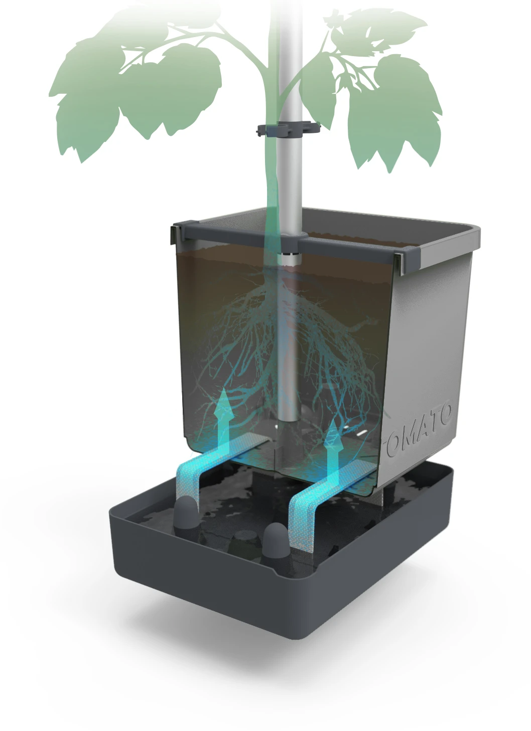 Tom Tomato Tomatentopf Hellgrau | Tomatentöpfe Von Gusta Garden 4 Tom Tomato Tomatentopf Hellgrau | Tomatentöpfe Von Gusta Garden – Bild 2