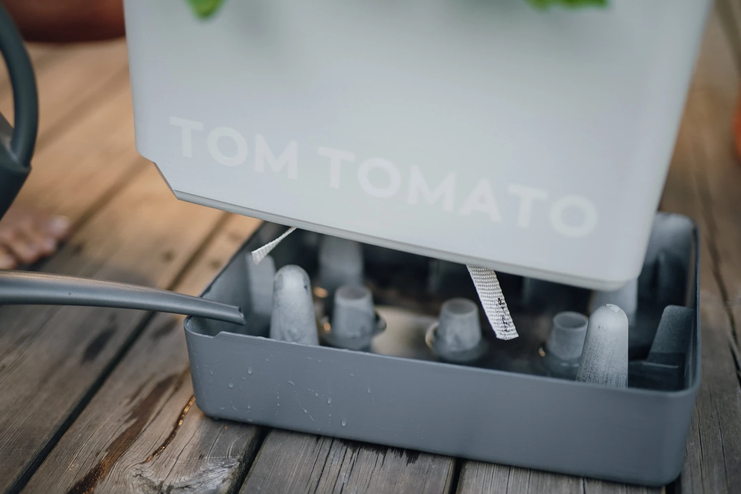 Tom Tomato Tomatentopf Hellgrau | Tomatentöpfe Von Gusta Garden 3 Tom Tomato Tomatentopf Hellgrau | Tomatentöpfe Von Gusta Garden