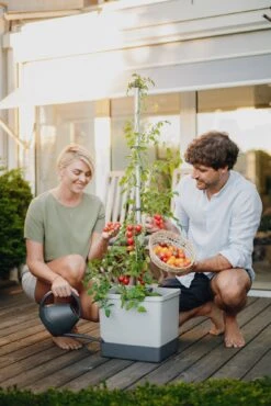 Tom Tomato Tomatentopf Hellgrau | Tomatentöpfe Von Gusta Garden 13 Tom Tomato Tomatentopf Hellgrau | Tomatentöpfe Von Gusta Garden -Compo || Elho || Pegasus Verkäufe 547957 Tom Tomato Hellgrau 6