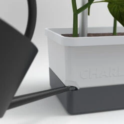 Charly Chili Chilitopf Hellgrau | Chilitöpfe Von Gusta Garden -Compo || Elho || Pegasus Verkäufe 548628 Charly Chili Chilitopf hellgrau 100710 gg 3