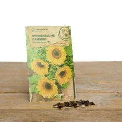 Blumen Set Bibi Balkonessa | BIO Blumensamen-Sets Von Samen Maier [MHD 12/2023] -Compo || Elho || Pegasus Verkäufe 549604 BIO Blumen Set Bibi Balkonessa A03 sm 2