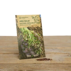 Wintergarten Set Humphrey Snowgart | BIO Gemüsesamen-Sets Von Samen Maier [MHD 12/2023] -Compo || Elho || Pegasus Verkäufe 549606 BIO Wintergarten Set Humphrey Snowgart A05 sm 1