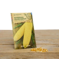 Bauerngarten Set Gitti Gartenschlau | BIO Gemüsesamen-Sets Von Samen Maier 11 Bauerngarten Set Gitti Gartenschlau | BIO Gemüsesamen-Sets Von Samen Maier -Compo || Elho || Pegasus Verkäufe 549608 BIO Bauerngarten Set Gitti Gartenschlau A07 sm 4