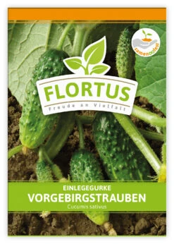 Einlegegurke Vorgebirgstrauben (100 Stück) | Einlegegurkensamen Von FLORTUS