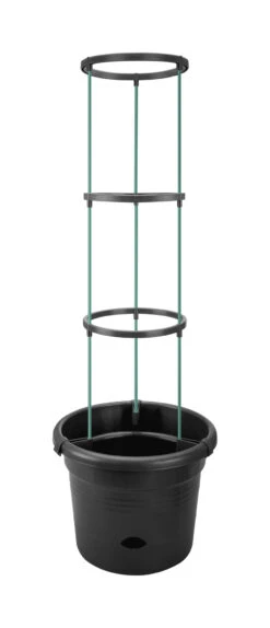 Green Basic Tomatentopf 33 Cm | Töpfe Von Elho