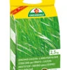 Langzeit Rasendünger (2,5 Kg) | Rasendünger Von ASB Greenworld -Compo || Elho || Pegasus Verkäufe 550435 Langzeit Rasenduenger 2 5 kg 313515 asb 0