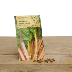 Gewächshaus Set Albert Pflanzfein | BIO Gemüsesamen-Sets Von Samen Maier -Compo || Elho || Pegasus Verkäufe 550509 BIO Gewaechshaus Set Albert Pflanzfein A08 sm 1