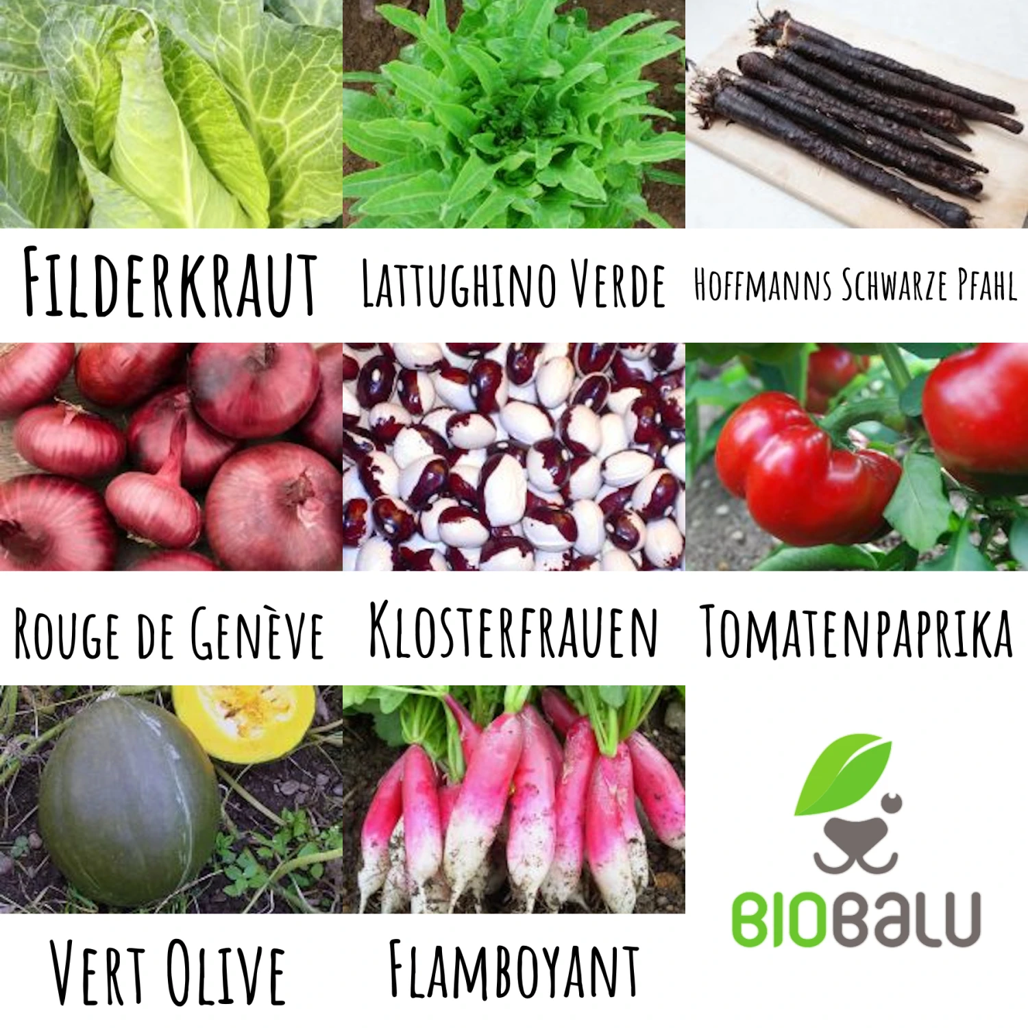 Gourmetgarten 8 Alte Sorten Set | BIO Gemüsesamen-Sets Von Biobalu 3 Gourmetgarten 8 Alte Sorten Set | BIO Gemüsesamen-Sets Von Biobalu