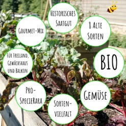 Gourmetgarten 8 Alte Sorten Set | BIO Gemüsesamen-Sets Von Biobalu 9 Gourmetgarten 8 Alte Sorten Set | BIO Gemüsesamen-Sets Von Biobalu -Compo || Elho || Pegasus Verkäufe 550615 BIO Gourmetgarten 8 Alte Sorten Set BB1009 4