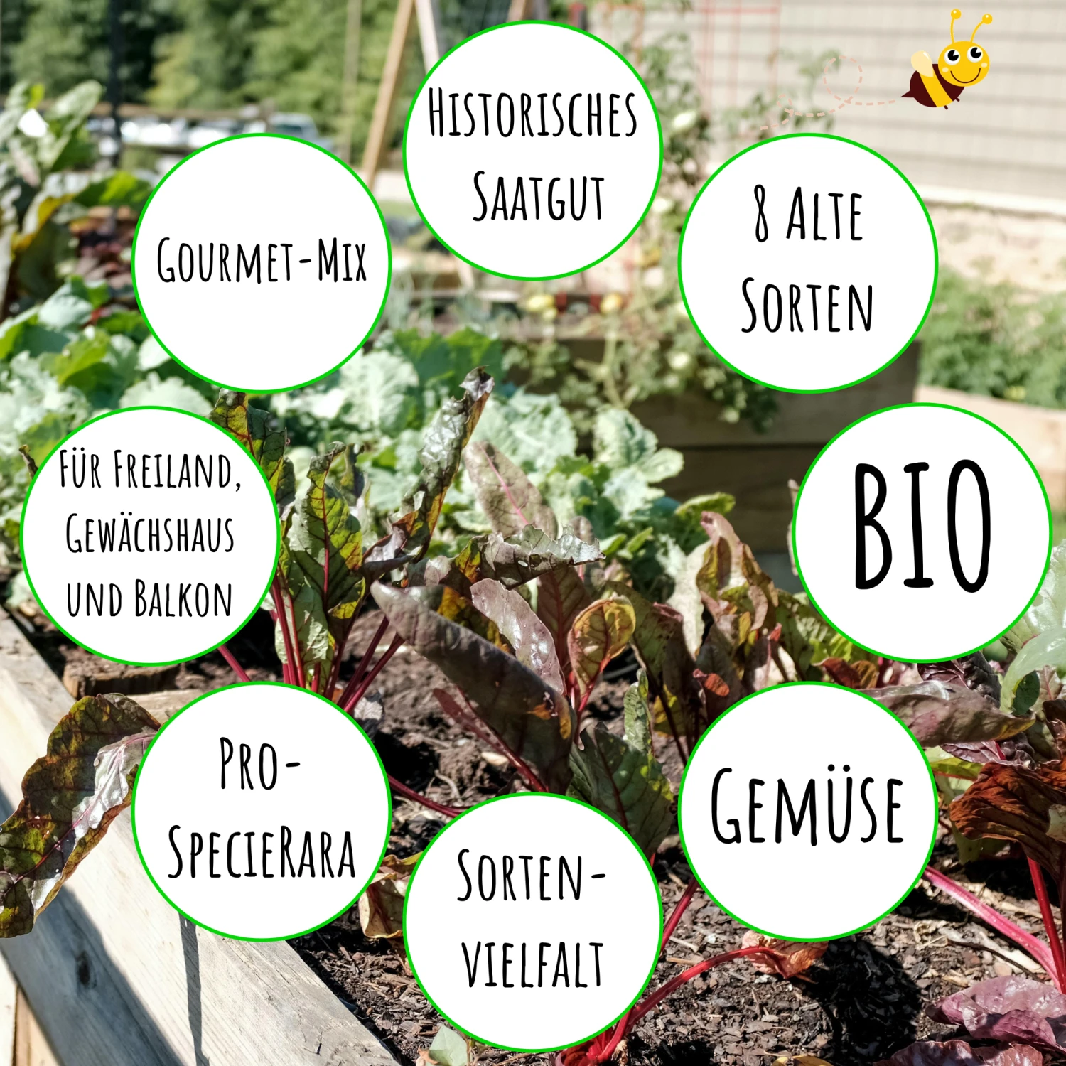 Gourmetgarten 8 Alte Sorten Set | BIO Gemüsesamen-Sets Von Biobalu 5 Gourmetgarten 8 Alte Sorten Set | BIO Gemüsesamen-Sets Von Biobalu – Bild 3