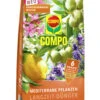 Mediterrane Pflanzen Langzeit-Dünger (1,5 Kg) | Dünger Von COMPO 2 Mediterrane Pflanzen Langzeit-Dünger (1,5 Kg) | Dünger Von COMPO -Compo || Elho || Pegasus Verkäufe 551053 mediterrane Pflanzen Langzeit Duenger 1 5 kg 2589702004 co 0