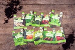 Gemüse Saatgut Archiv Holzbox (10 Tütchen + Register) | BIO Gemüsesamen-Sets Von FLORTUS -Compo || Elho || Pegasus Verkäufe 551883 BIO Saatgut Archiv Holzbox 10 Tuetchen Register 2000 0564 2