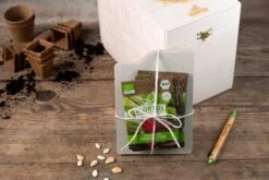 Gemüse Saatgut Archiv Holzbox (10 Tütchen + Register) | BIO Gemüsesamen-Sets Von FLORTUS -Compo || Elho || Pegasus Verkäufe 551883 BIO Saatgut Archiv Holzbox 10 Tuetchen Register 2000 0564 3