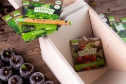 Gemüse Saatgut Archiv Holzbox (10 Tütchen + Register) | BIO Gemüsesamen-Sets Von FLORTUS -Compo || Elho || Pegasus Verkäufe 551883 BIO Saatgut Archiv Holzbox 10 Tuetchen Register 2000 0564 6