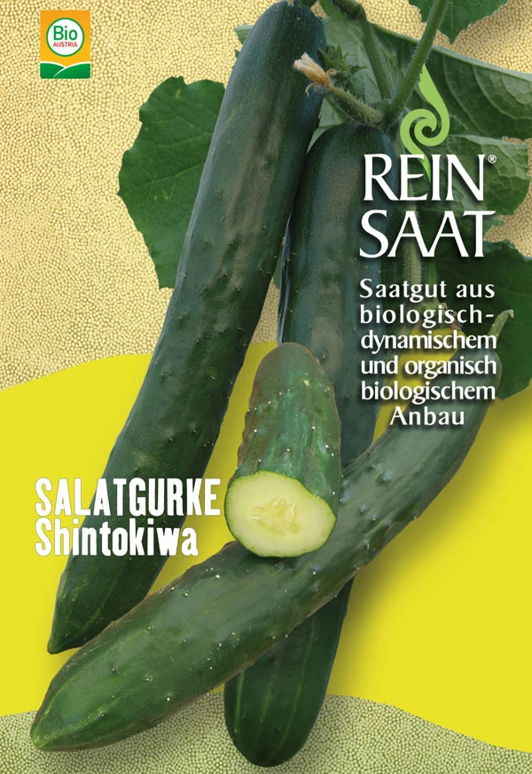 Freilandgurke Shintokiwa | BIO Freilandgurkensamen Von Reinsaat 3 Freilandgurke Shintokiwa | BIO Freilandgurkensamen Von Reinsaat
