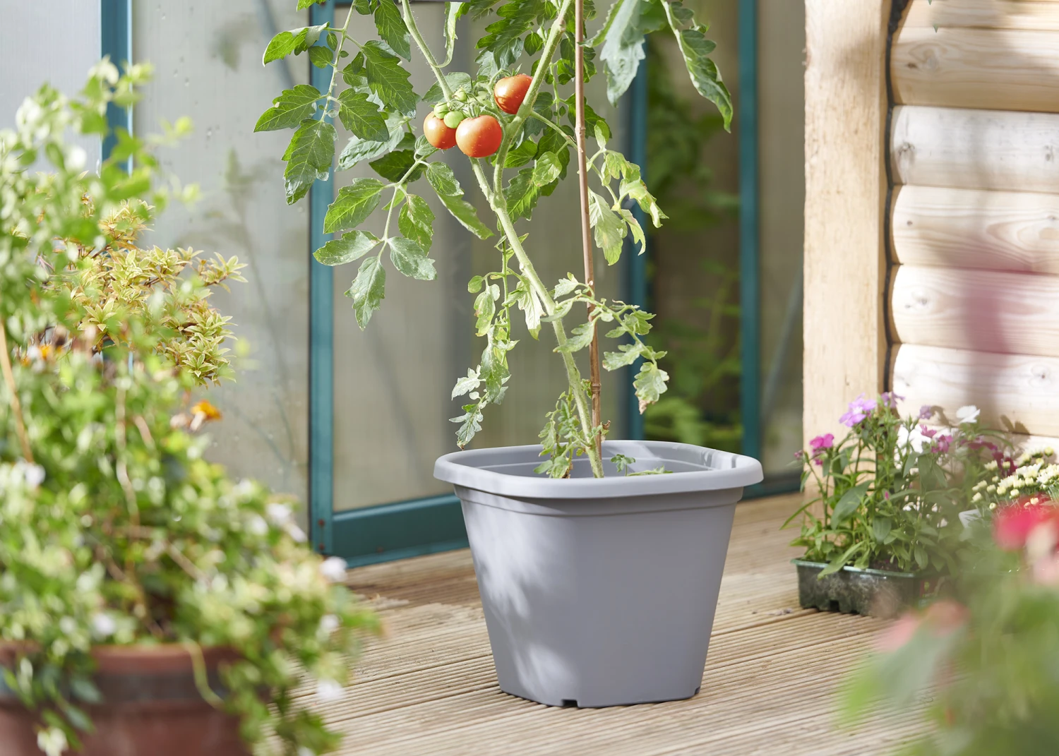 Tomatentopf Anthrazit | Tomatentöpfe Von Clever Pots 3 Tomatentopf Anthrazit | Tomatentöpfe Von Clever Pots