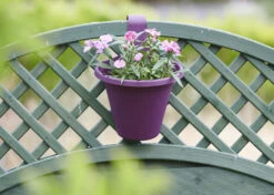 Hängeblumentopf Pink | Blumentöpfe Von Clever Pots