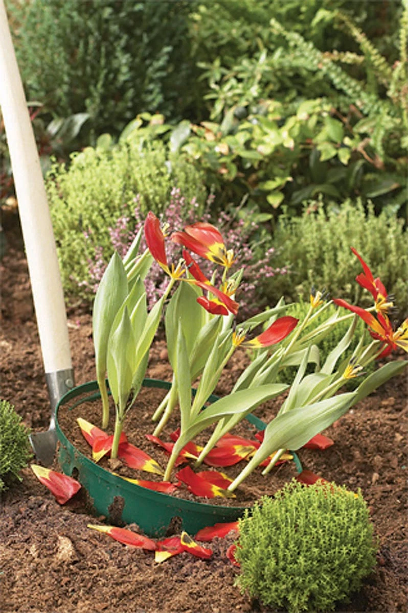 Blumenzwiebel Korb | Gartenzubehör Von Garland 3 Blumenzwiebel Korb | Gartenzubehör Von Garland