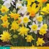 Narzisse Botanisch Mix (10 Stück) | Narzissenzwiebeln Von Jub Holland -Compo || Elho || Pegasus Verkäufe 559792 Narzisse Botanisch Mix 10 Stueck 307040 jb 0