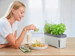 HARRY HERBS Kräutertopf Hellgrau | Kräutertöpfe Von Gusta Garden -Compo || Elho || Pegasus Verkäufe 560334 HARRY HERBS hellgrau 100B10 gg 7